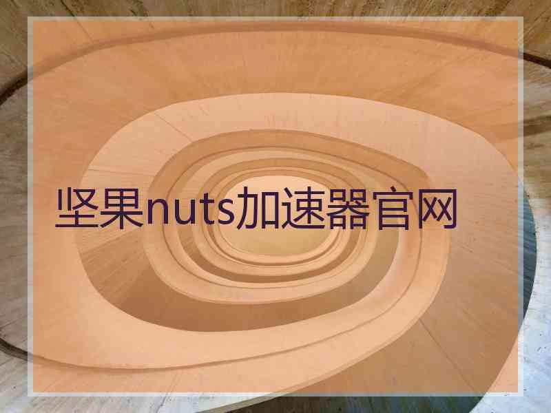 坚果nuts加速器官网