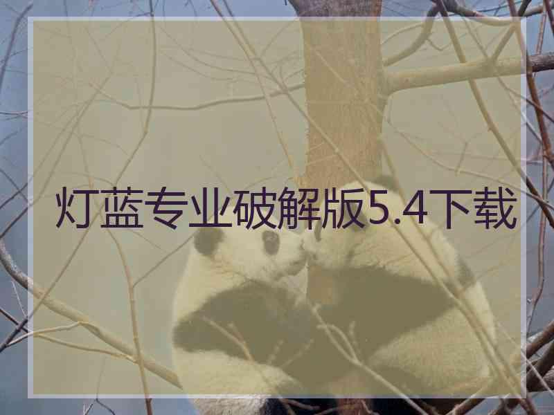 灯蓝专业破解版5.4下载