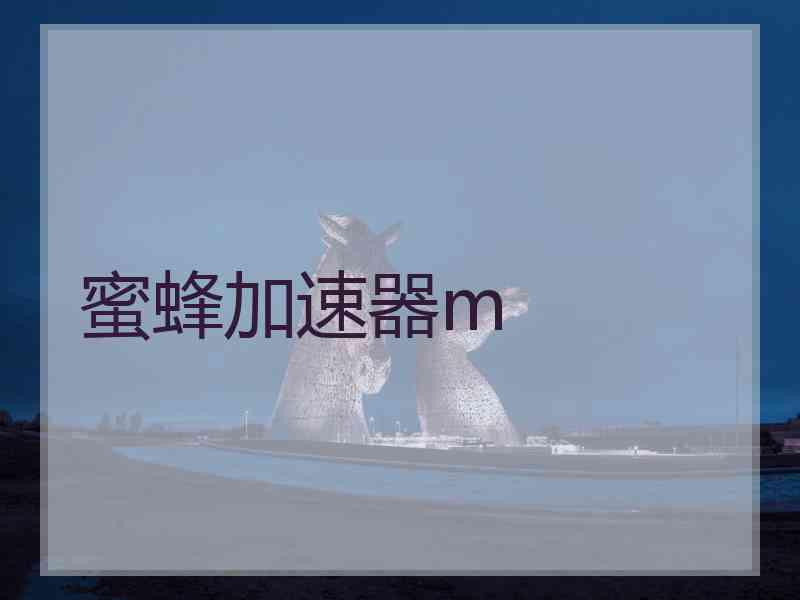蜜蜂加速器m