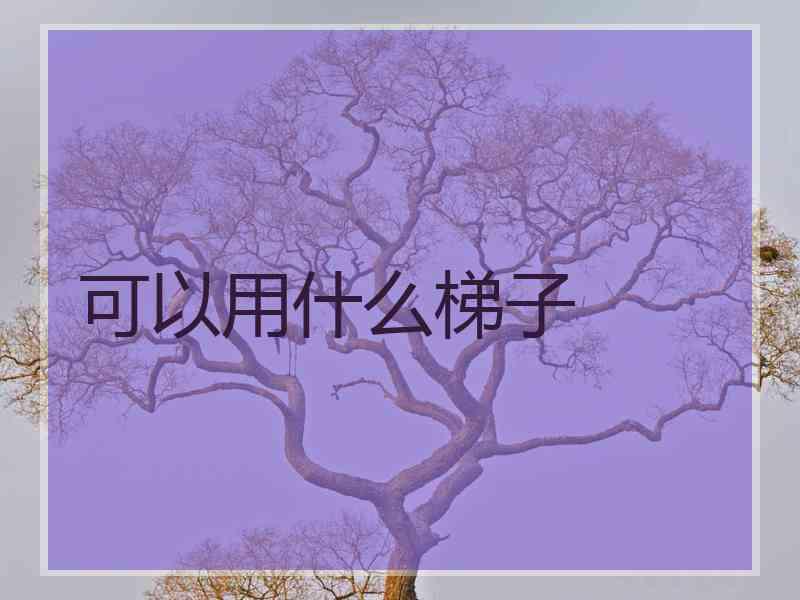 可以用什么梯子