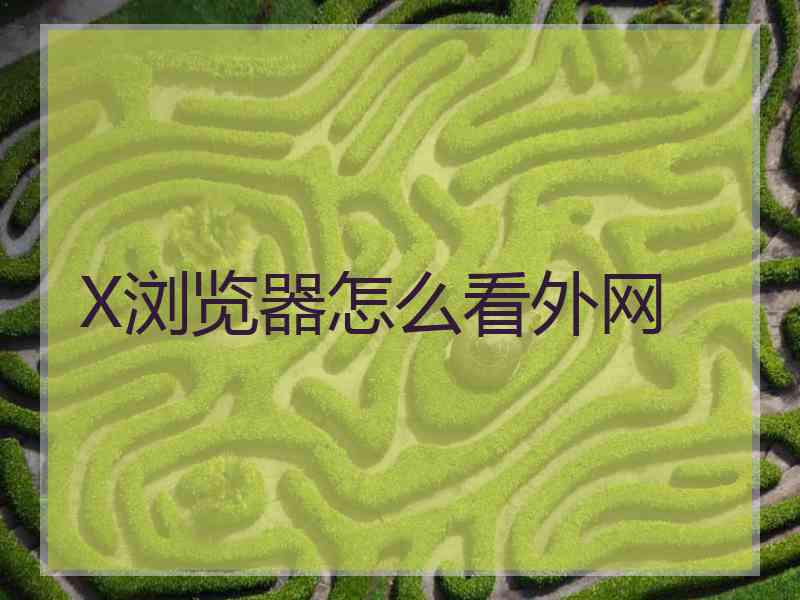 X浏览器怎么看外网