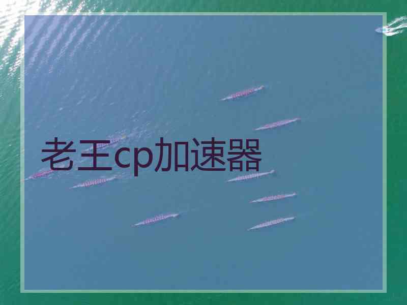 老王cp加速器