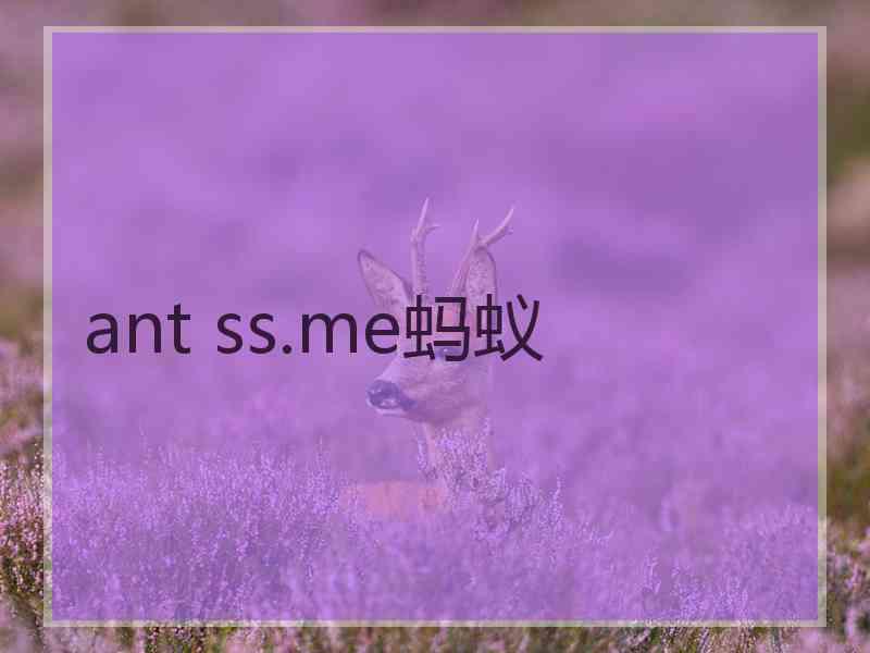 ant ss.me蚂蚁