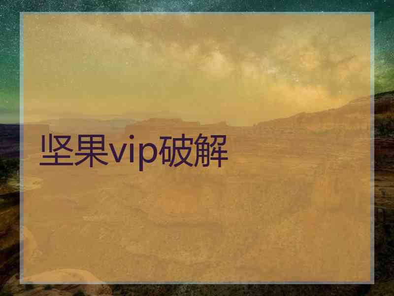 坚果vip破解