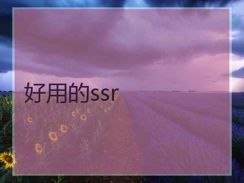 好用的ssr