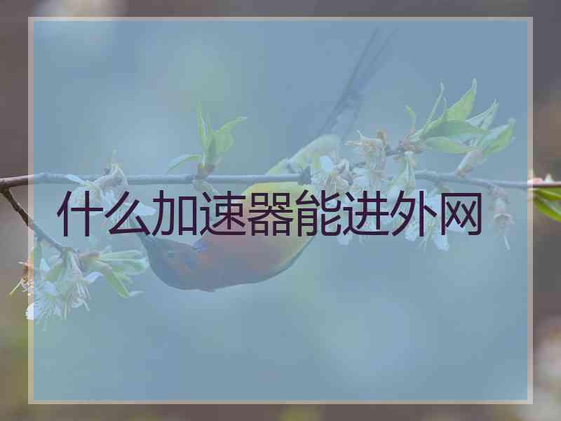什么加速器能进外网
