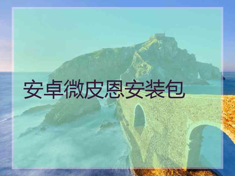 安卓微皮恩安装包