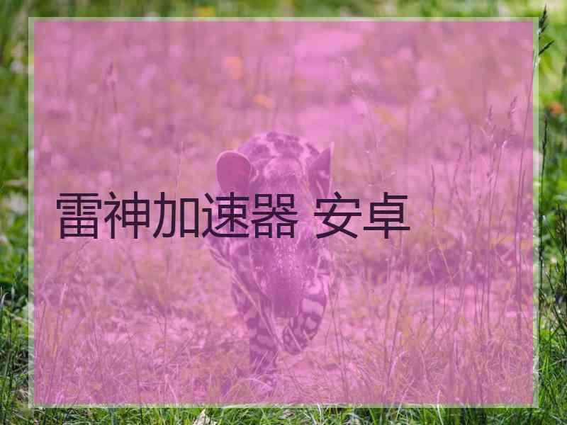 雷神加速器 安卓
