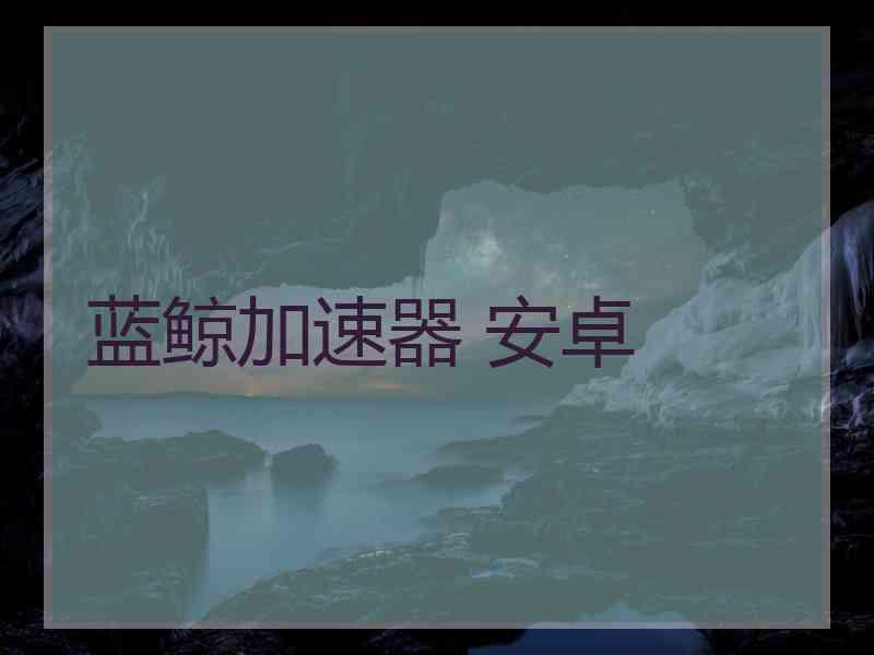 蓝鲸加速器 安卓