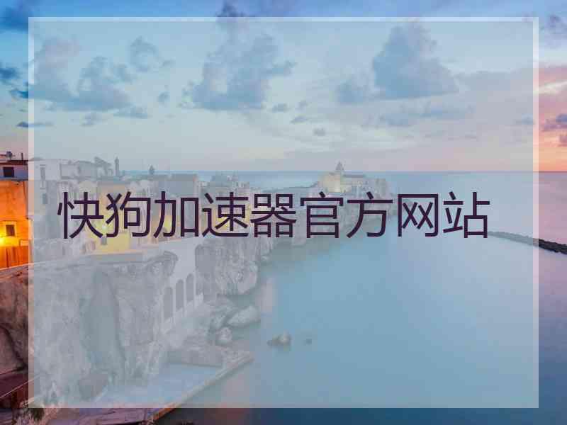 快狗加速器官方网站
