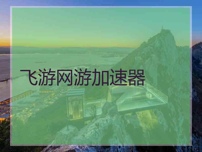 飞游网游加速器