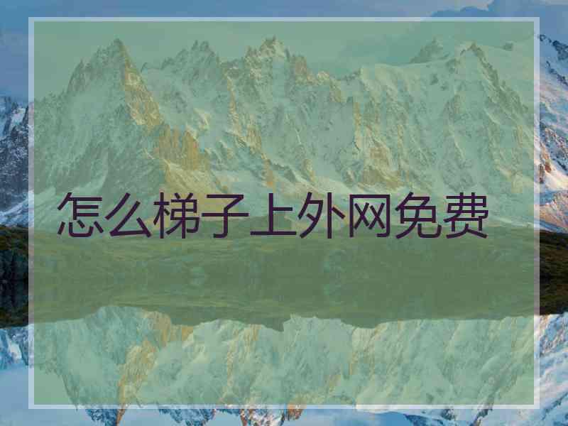 怎么梯子上外网免费