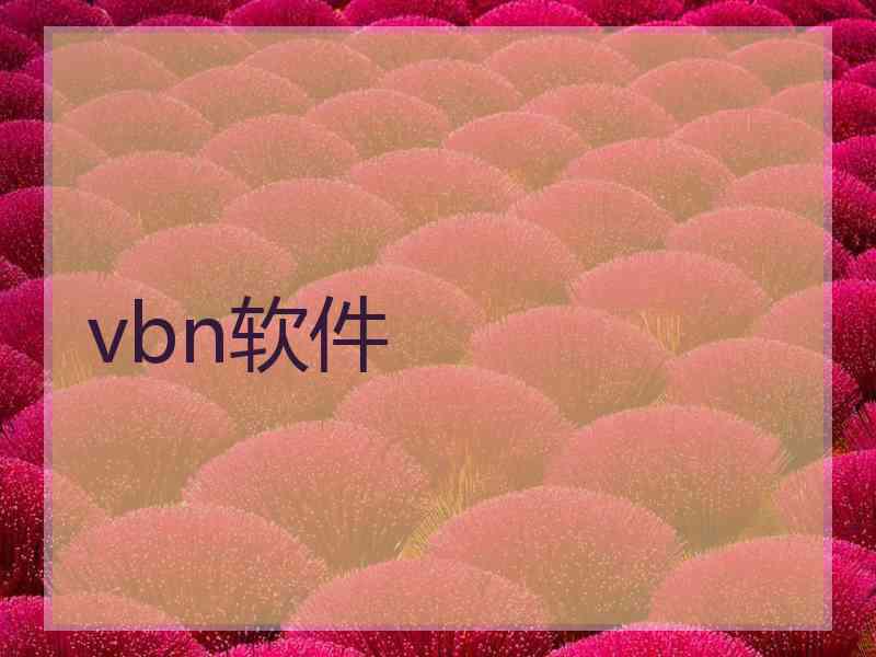 vbn软件