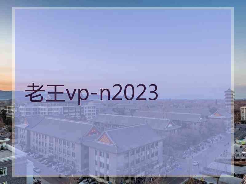 老王vp-n2023