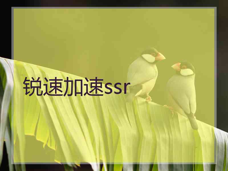 锐速加速ssr