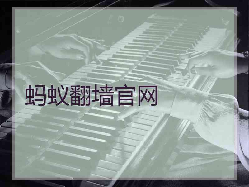 蚂蚁翻墙官网