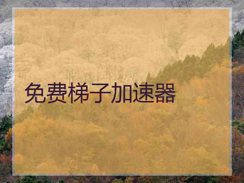 免费梯子加速器