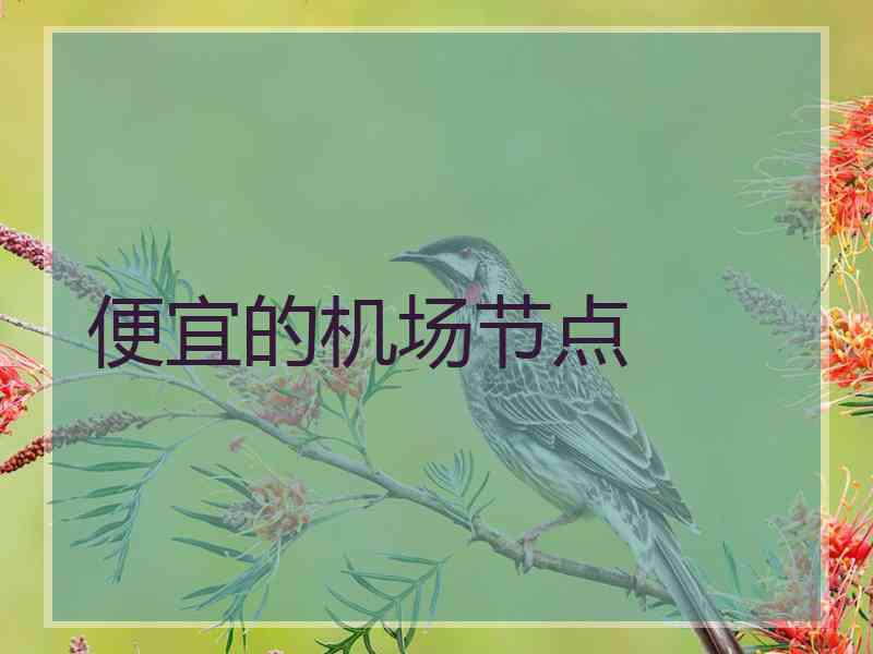 便宜的机场节点
