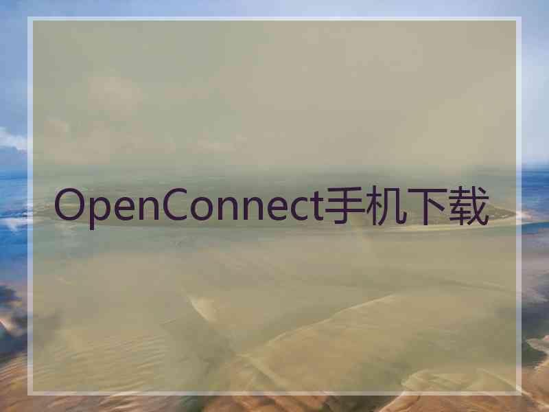 OpenConnect手机下载