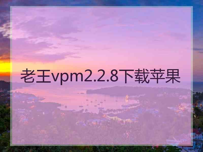 老王vpm2.2.8下载苹果