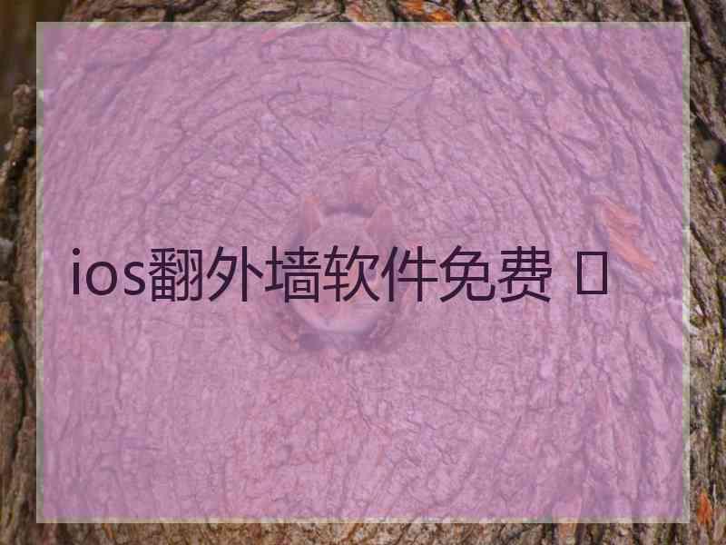 ios翻外墙软件免费 	