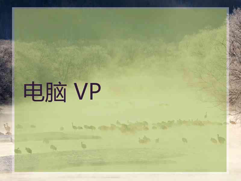 电脑 VP