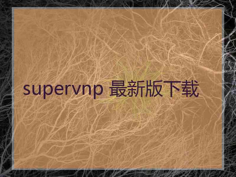 supervnp 最新版下载
