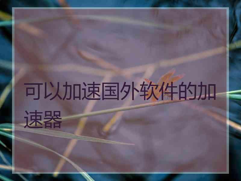 可以加速国外软件的加速器
