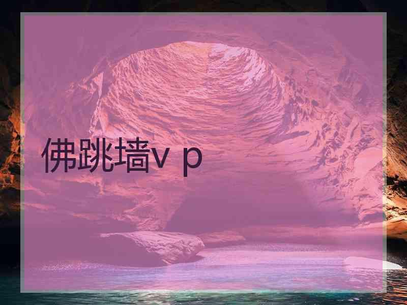 佛跳墙v p