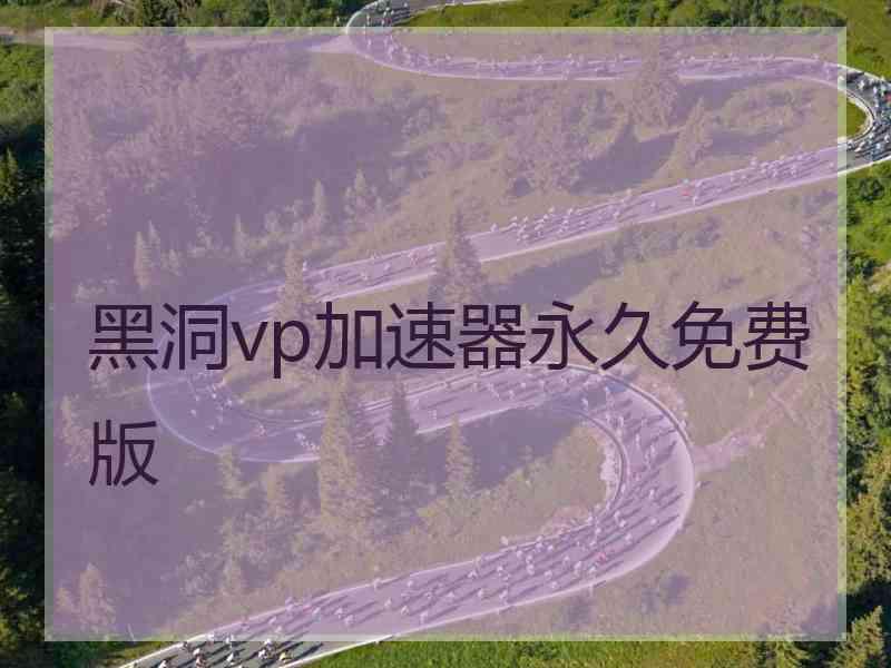 黑洞vp加速器永久免费版