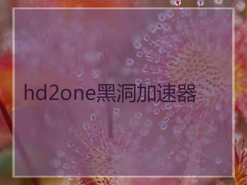hd2one黑洞加速器