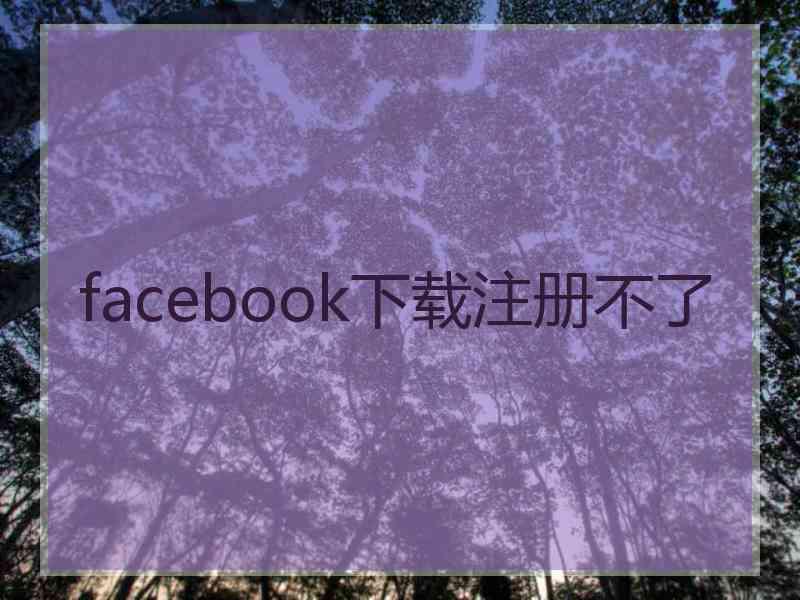 facebook下载注册不了