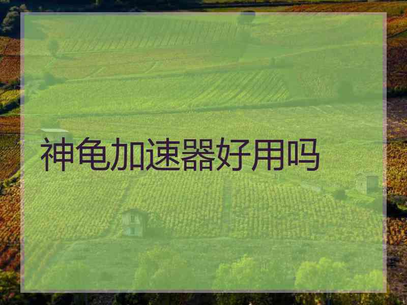 神龟加速器好用吗