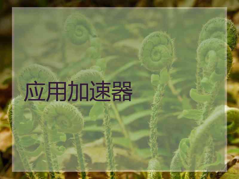 应用加速器