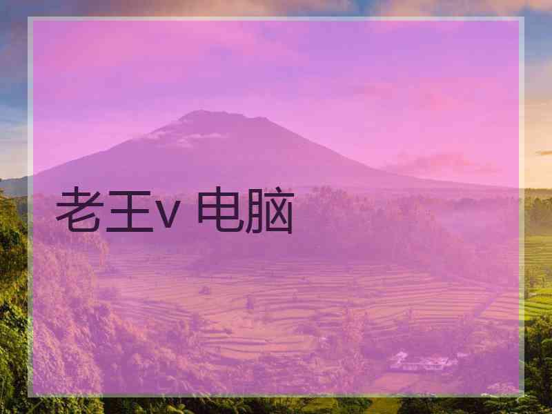 老王v 电脑