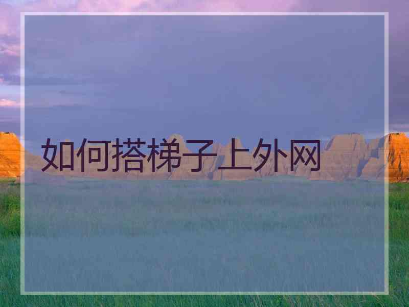 如何搭梯子上外网