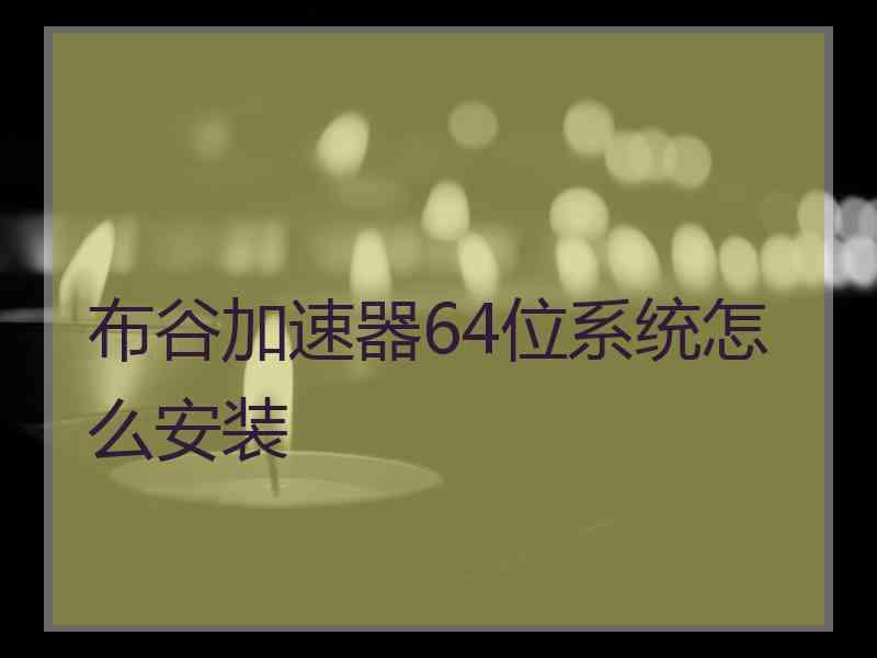 布谷加速器64位系统怎么安装