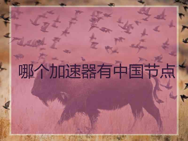 哪个加速器有中国节点