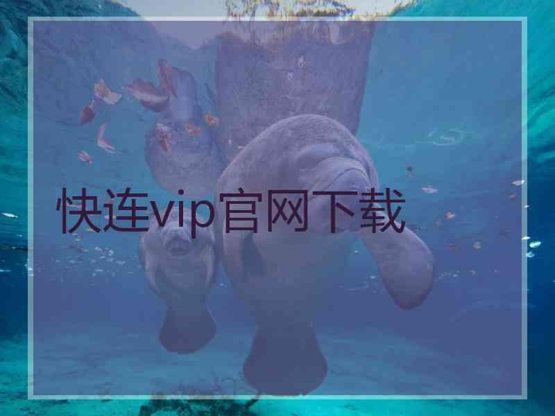快连vip官网下载