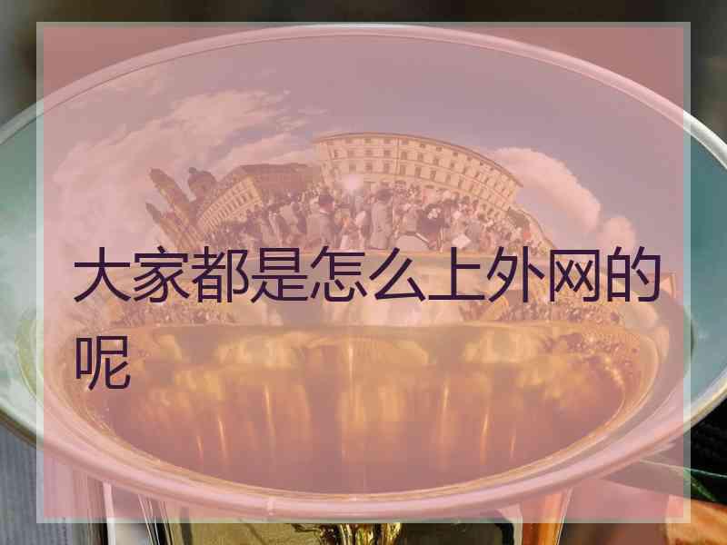 大家都是怎么上外网的呢
