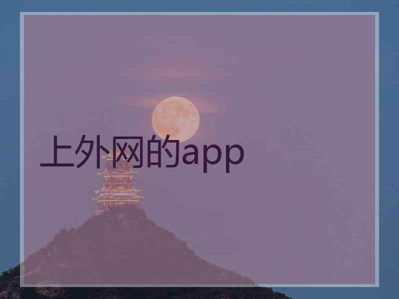 上外网的app