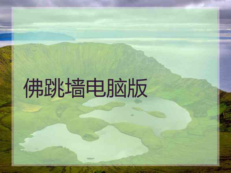 佛跳墙电脑版