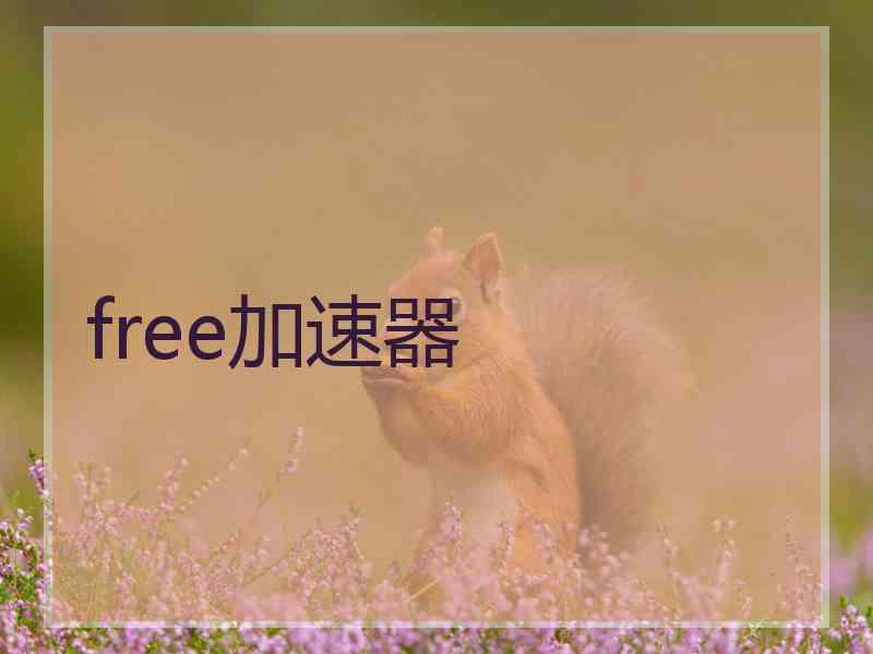 free加速器