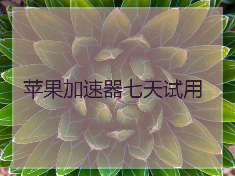 苹果加速器七天试用