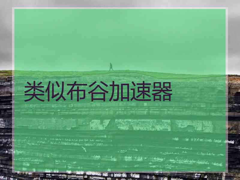 类似布谷加速器