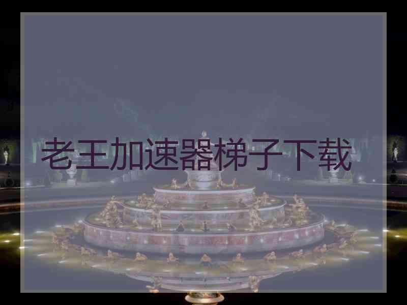 老王加速器梯子下载