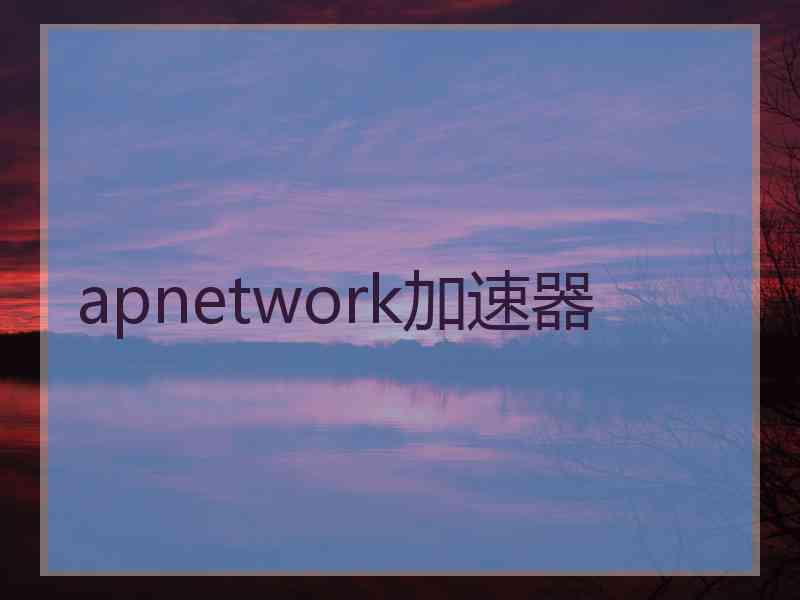 apnetwork加速器