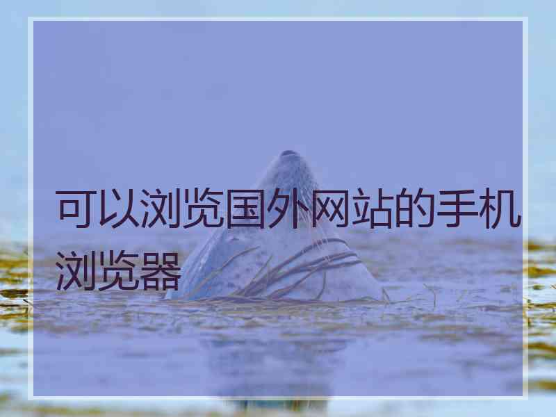 可以浏览国外网站的手机浏览器