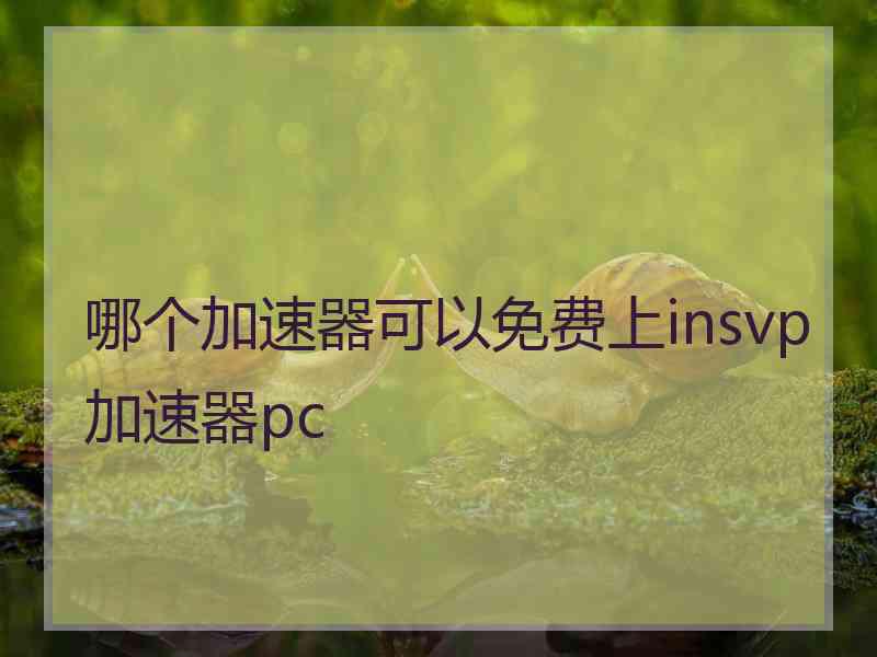 哪个加速器可以免费上insvp加速器pc