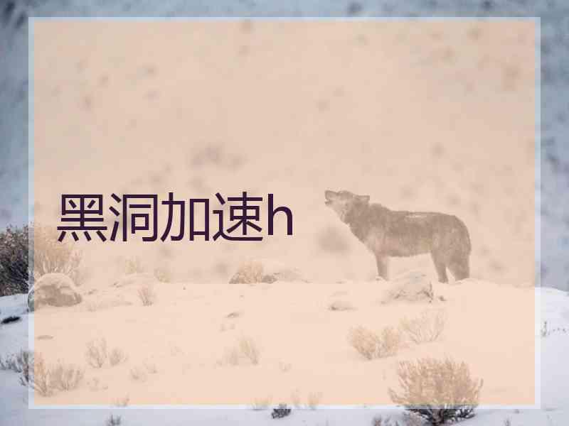 黑洞加速h